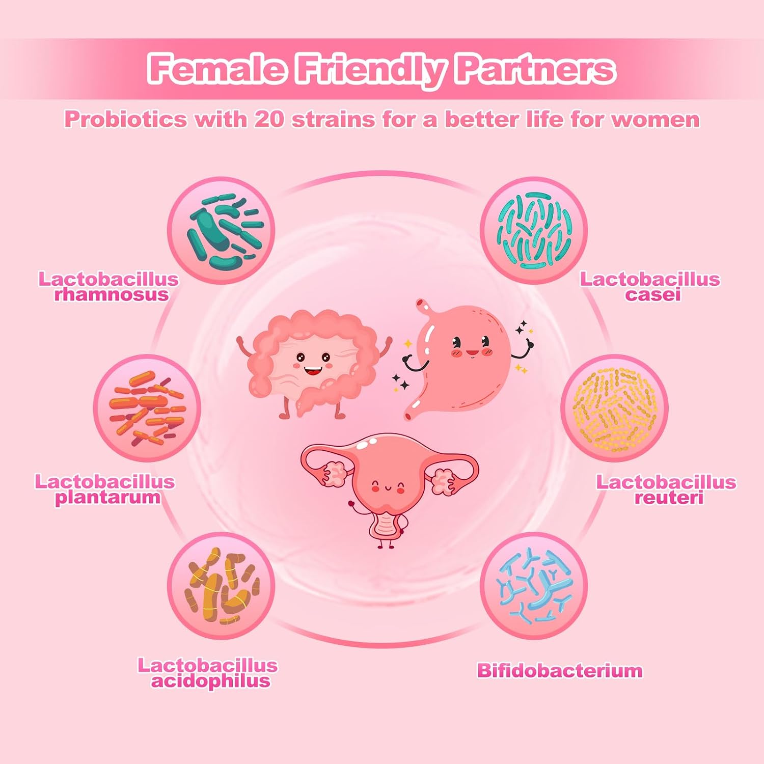 Detalle 2 de KFG Women's Probiotic Tablets, 100 Tablets