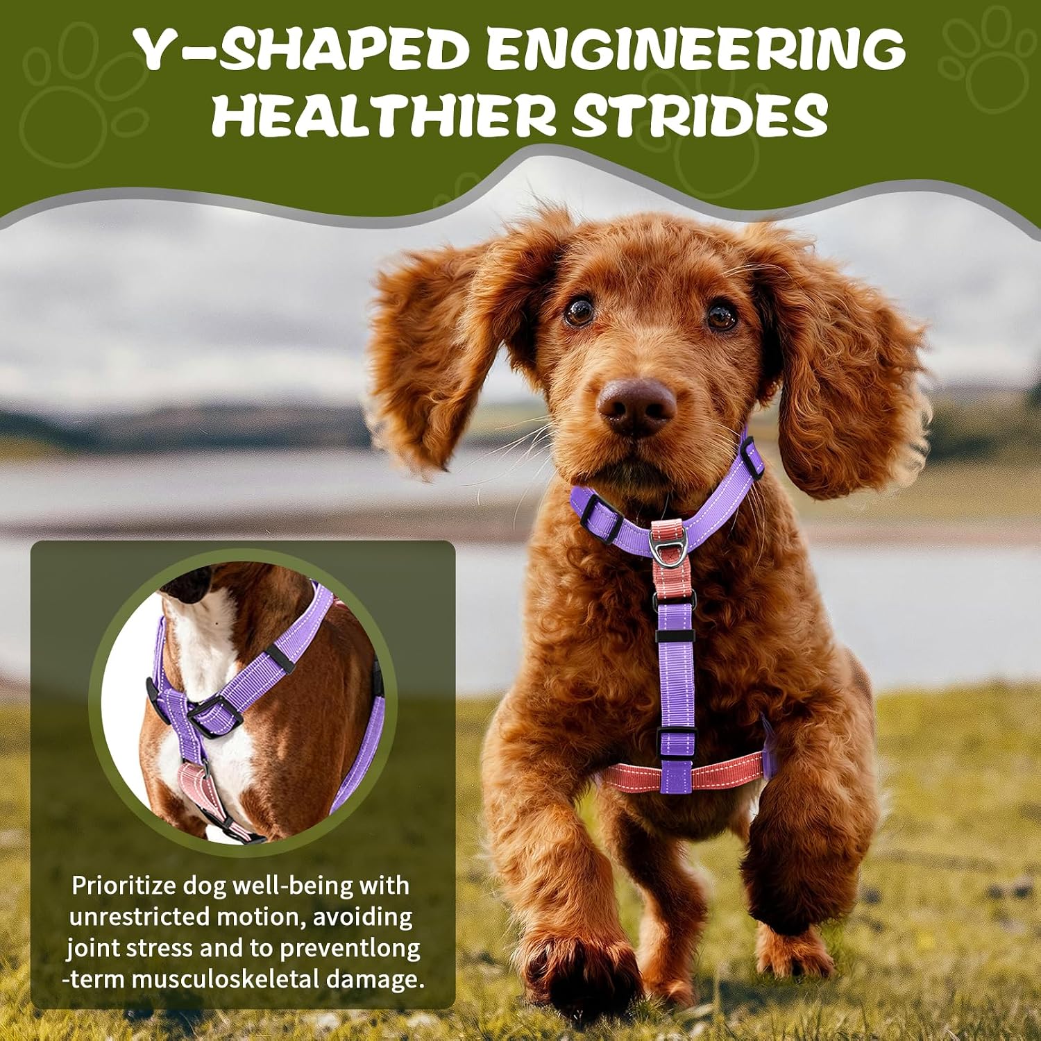 Thumbnail 6 de Dog Harness Pink-L