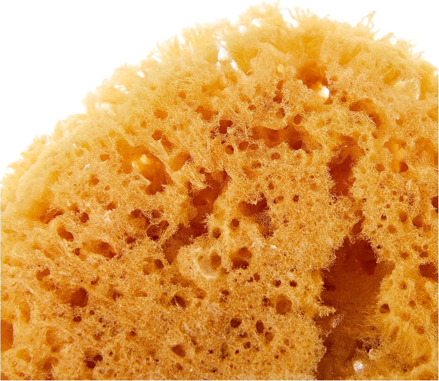 Detalle de Croll & Denecke Naturschwamm P130 Premium – naturalna gąbka do kąpieli