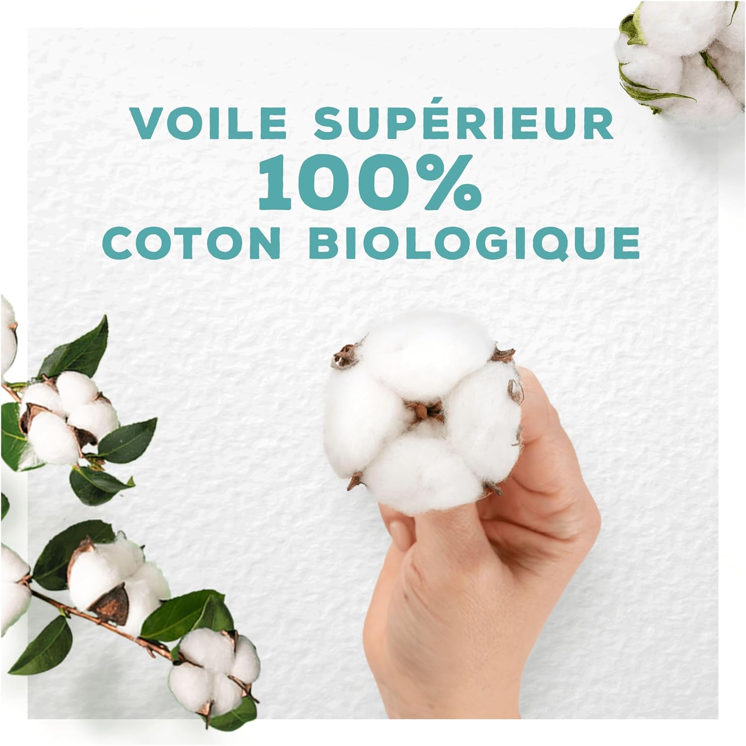 Thumbnail 1 de Serviettes Always Cotton Protection Normal avec ailettes : voile supérieur en coton biologique