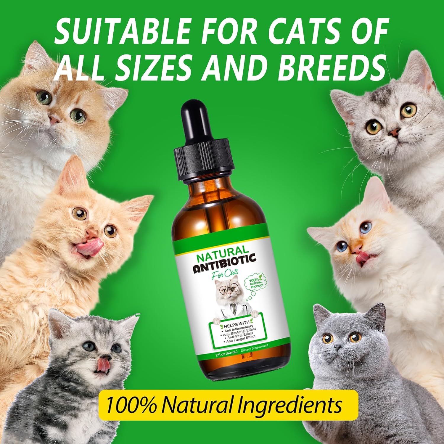Detalle 2 de Natürliche Antibiotika für Katzen (Generic) – 60 ml Tropfen zur Unterstützung von Immunsystem & Wohlbefinden