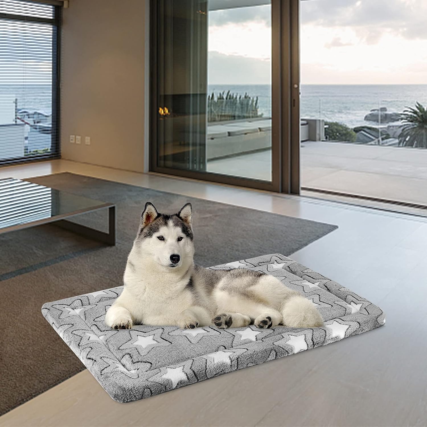 Thumbnail 3 de EMPSIGN Cuscino per Cani Taglia Grande reversibile in schiuma ad alta densità (92 x 61 x 2,8 cm) grigio