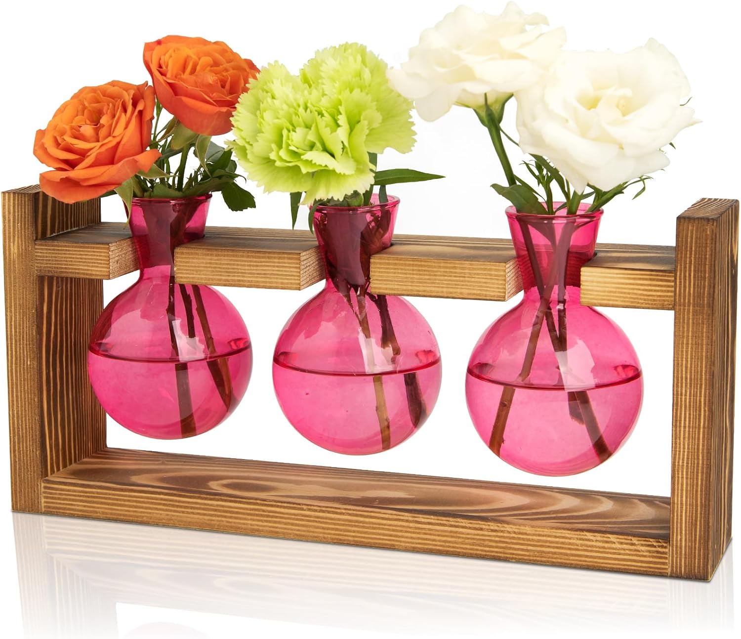 Detalle de XXXFLOWER Plant Propagation Station, Pink