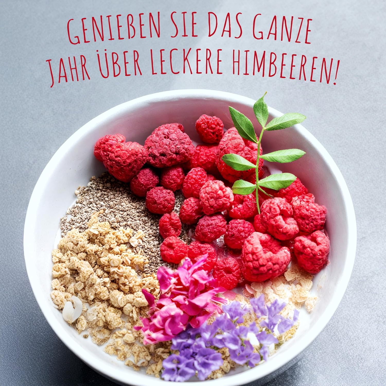 Detalle de Gefriergetrocknete Himbeeren 500g – 100% Frucht, ohne Zuckerzusatz, vegan | Meerbach & Rose