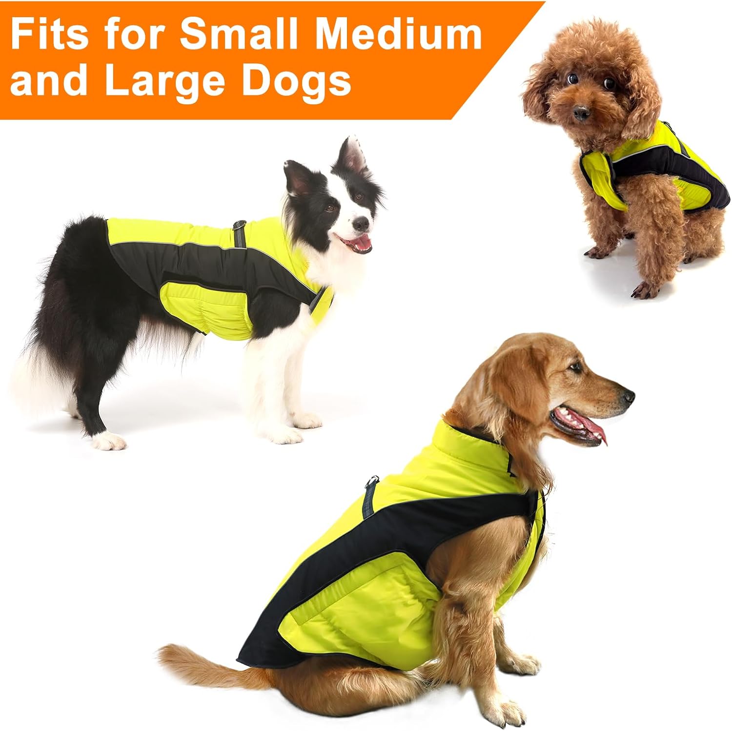 Detalle 2 de Gimilife Dog Coat with Harness