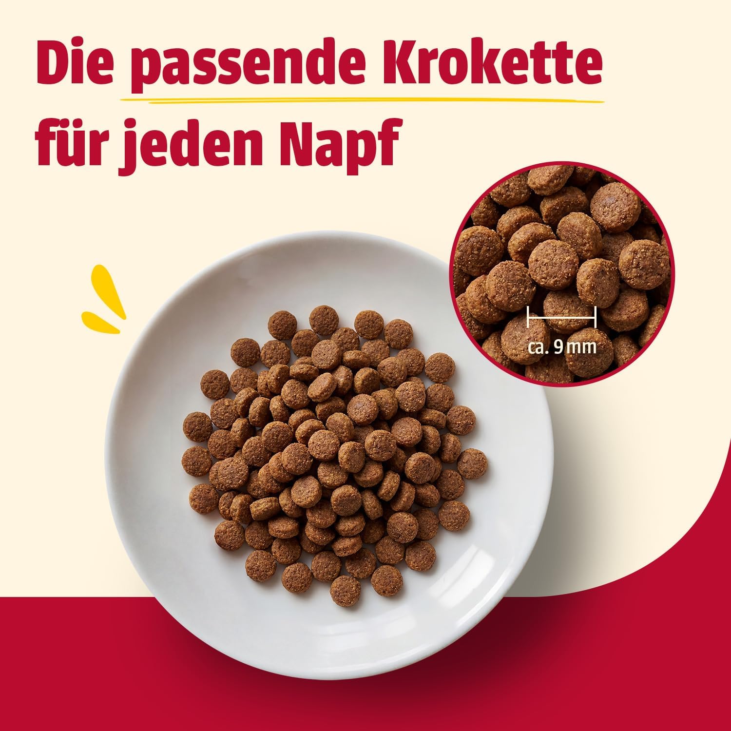 Detalle 2 de Animonda Carny Katzen Trockenfutter mit Huhn + Rind – 10 kg, Senior & getreidefrei
