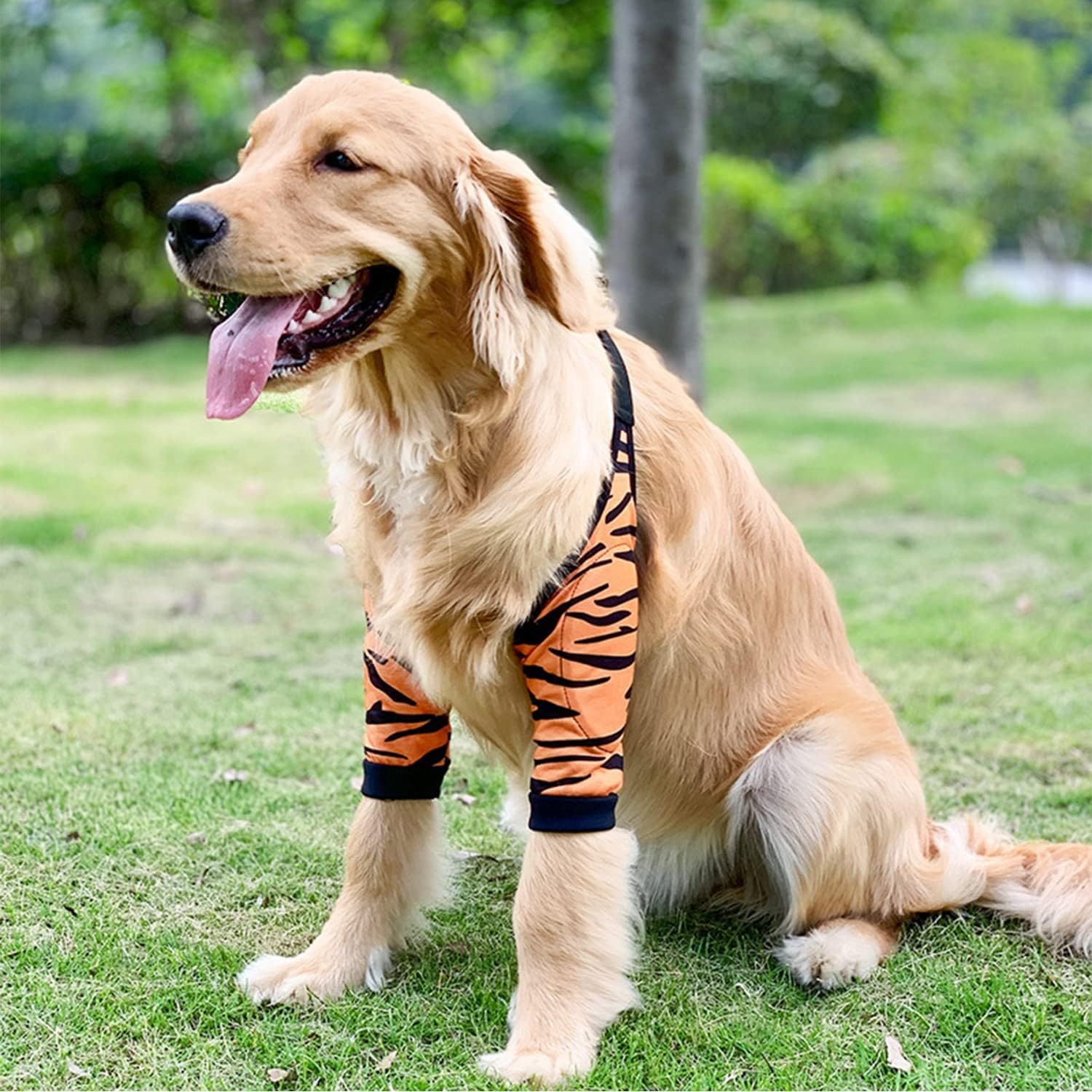 Detalle de Blue Dream Island Front Leg Recovery Sleeve for Medium–Large Dogs (3XL)