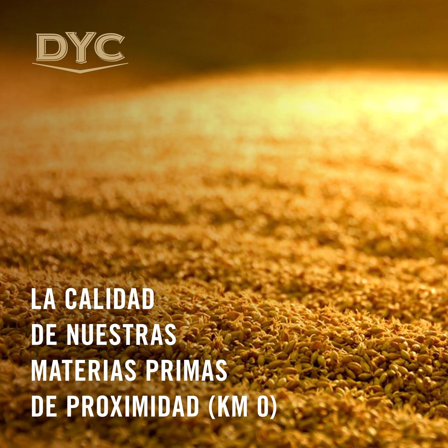 Detalle 1 de DYC Whisky Blended Doble Destilación 1.5L 🥃