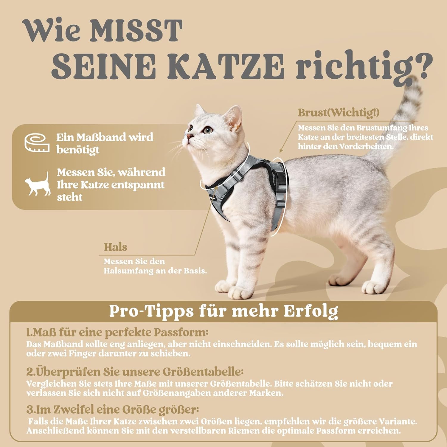 Detalle 2 de rabbitgoo Katzengeschirr mit Leine Grau XS