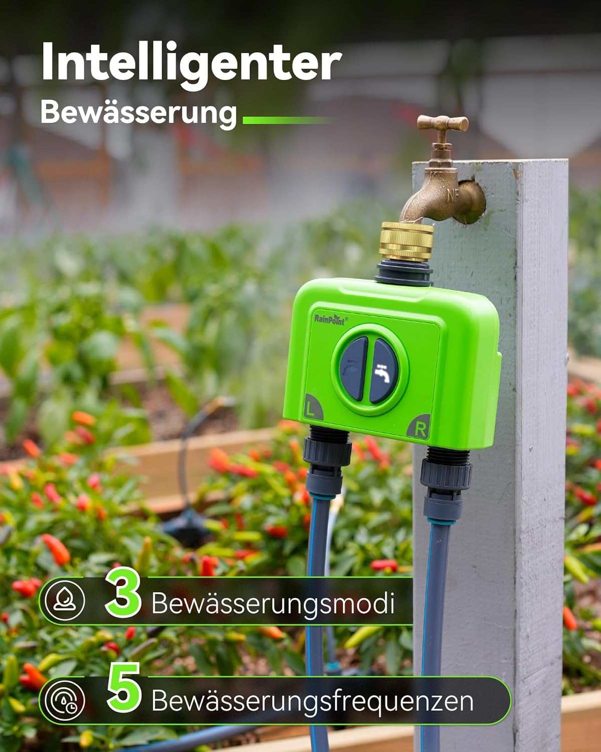 Thumbnail 2 de RAINPOINT WLAN-Bewässerungscomputer mit 2 Ausgängen (Messingeinlass) – 6 Bewässerungspläne, ohne WLAN-Gateway