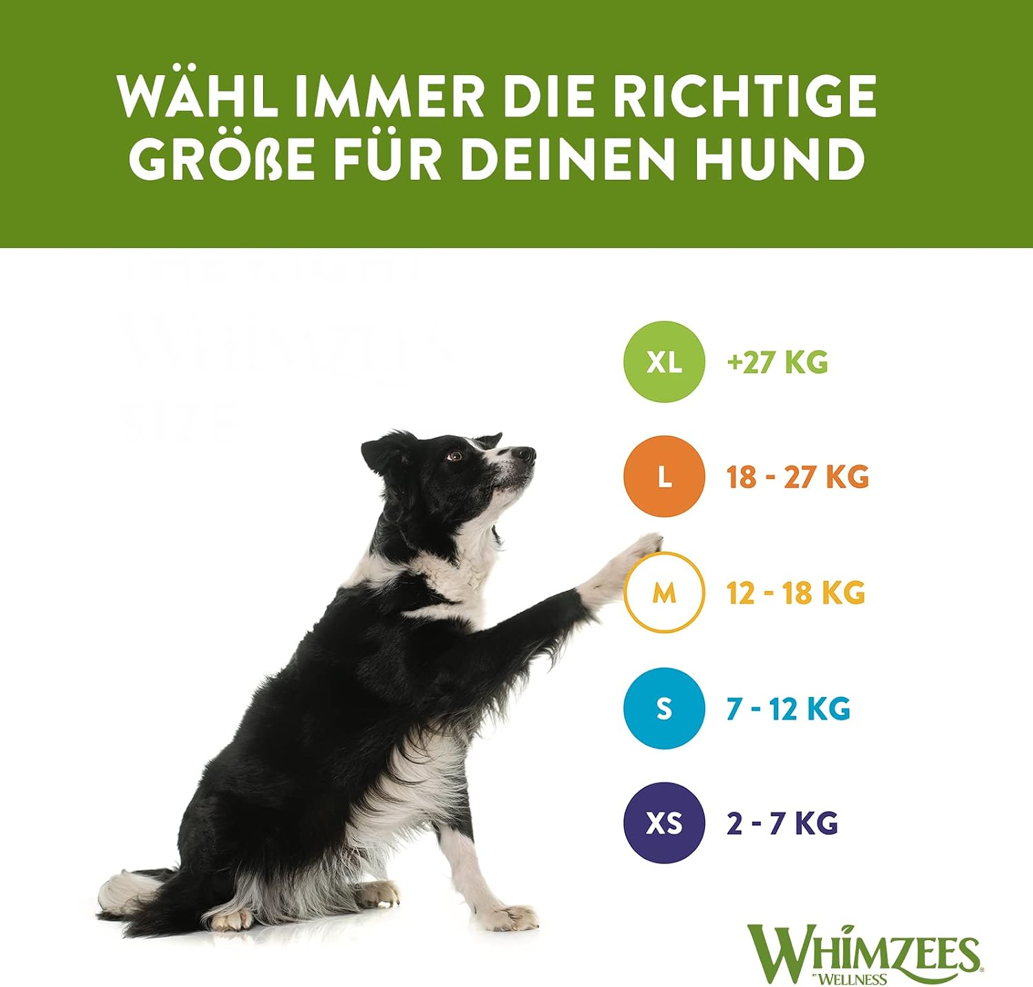 Thumbnail 6 de WHIMZEES Igel L Kaustangen 6 Stück