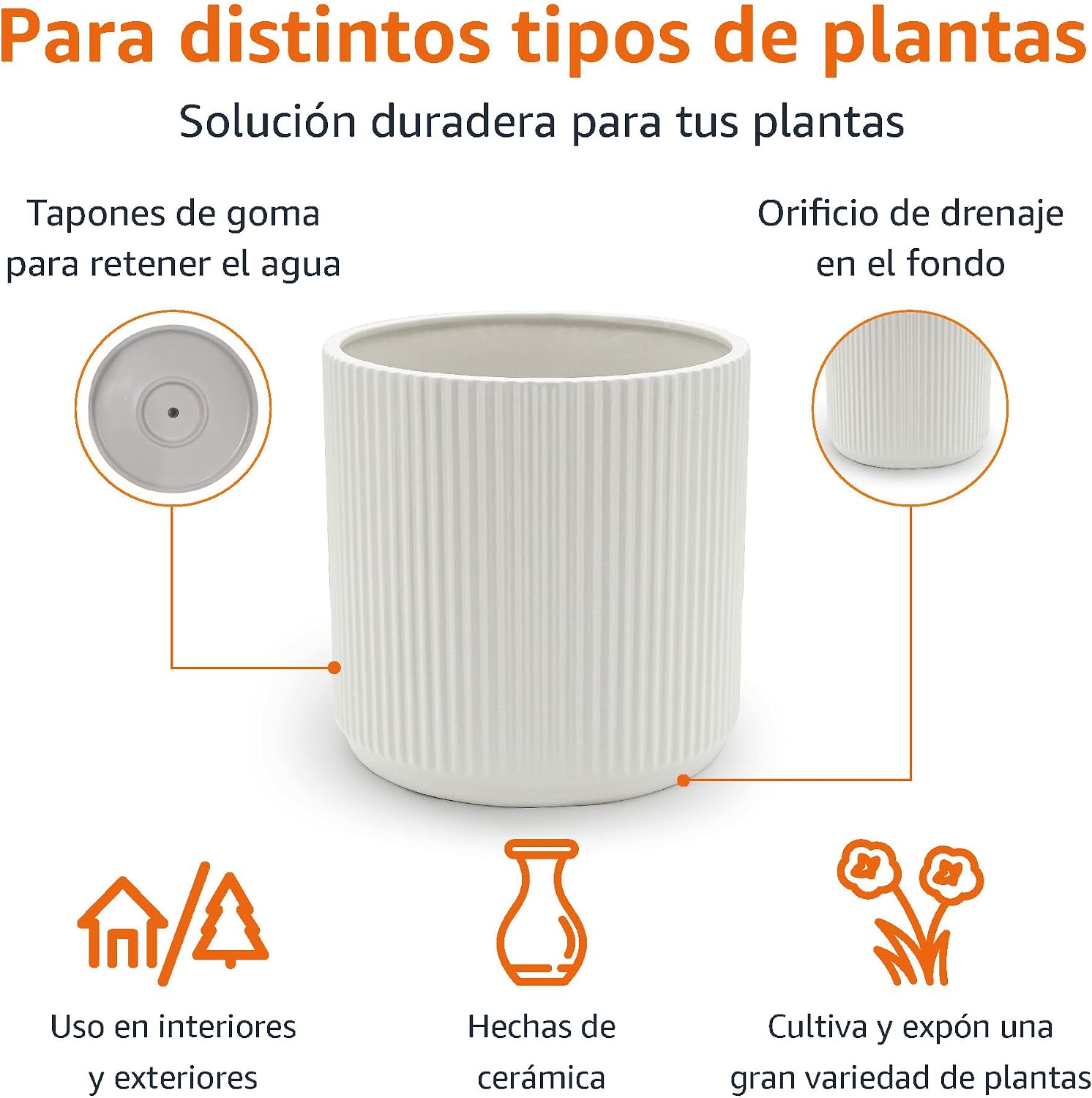 Detalle 2 de Amazon Basics Maceta de Cerámica Estriada 20.3 cm 🌱