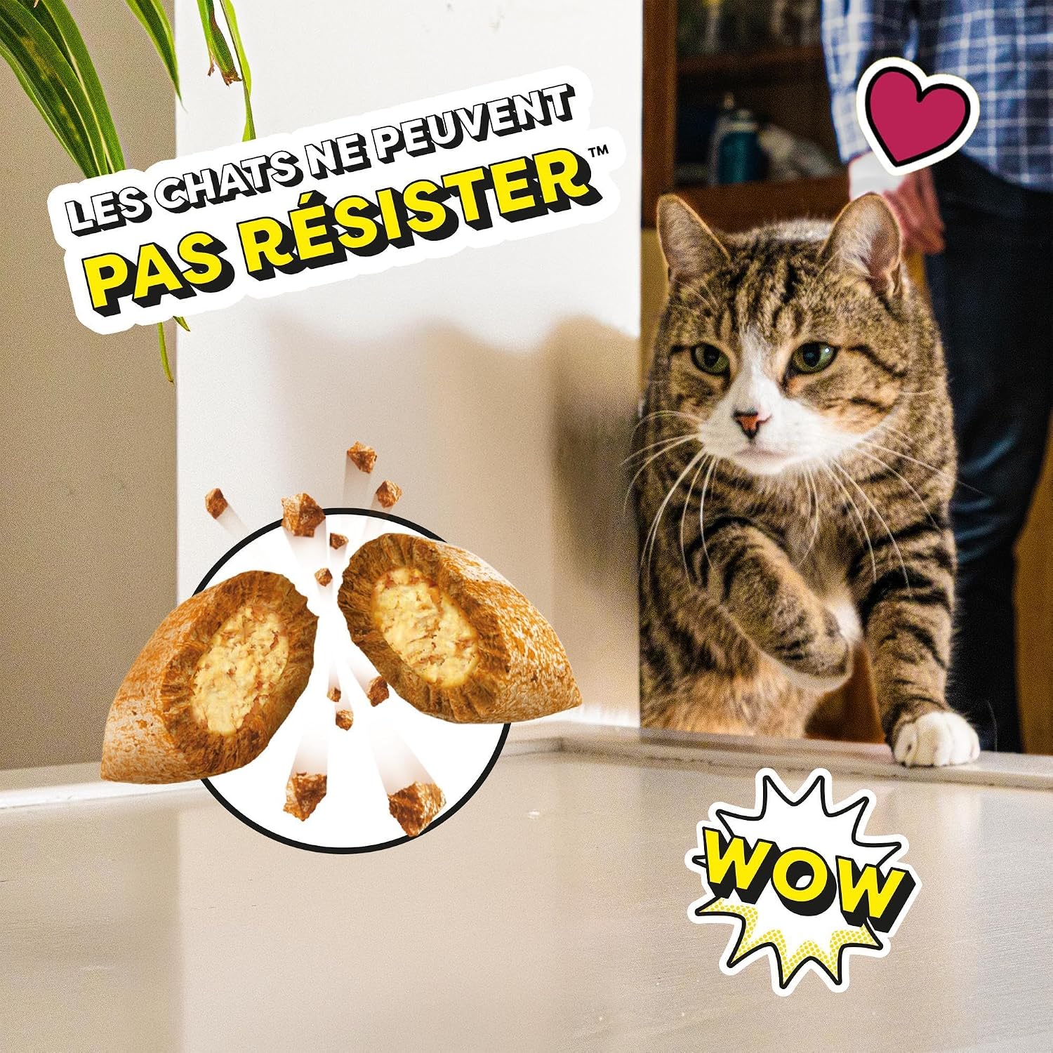 Detalle de Catisfactions Maxi Tub Friandises au Poulet pour Chats – Lot de 2, 350 g