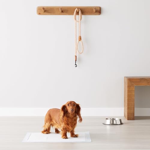 Detalle de Amazon Basics tappetini per addestramento cani e cuccioli – 50 pezzi, 56 x 56 cm, 5 strati, superficie ad asciugatura rapida, blu