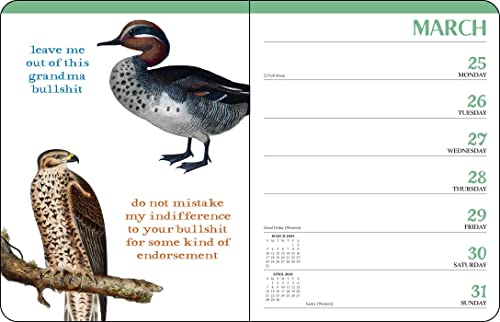 Thumbnail 5 de Effin' Birds Planner 2024 mensual/semanal 📅