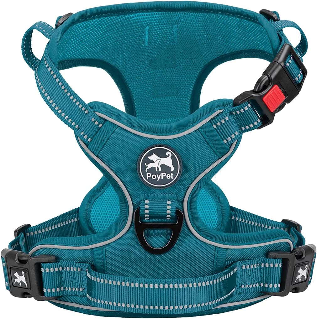 Detalle de PoyPet Hundegeschirr Tumalo Teal M, reflektierend