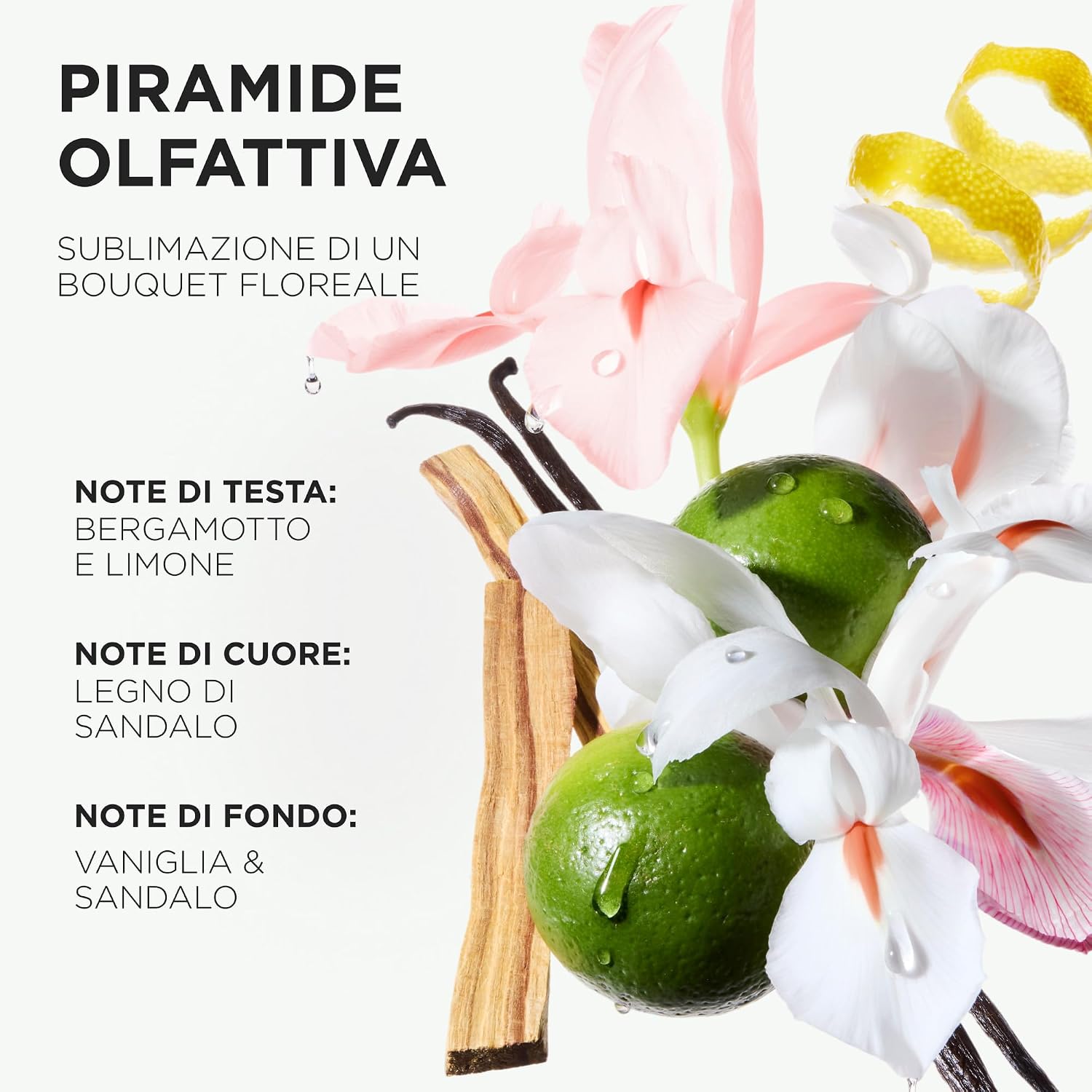 Detalle 2 de Kérastase Gloss Absolu Bain Crème Hydra-Glaze: shampoo cremoso per capelli spessi e crespi
