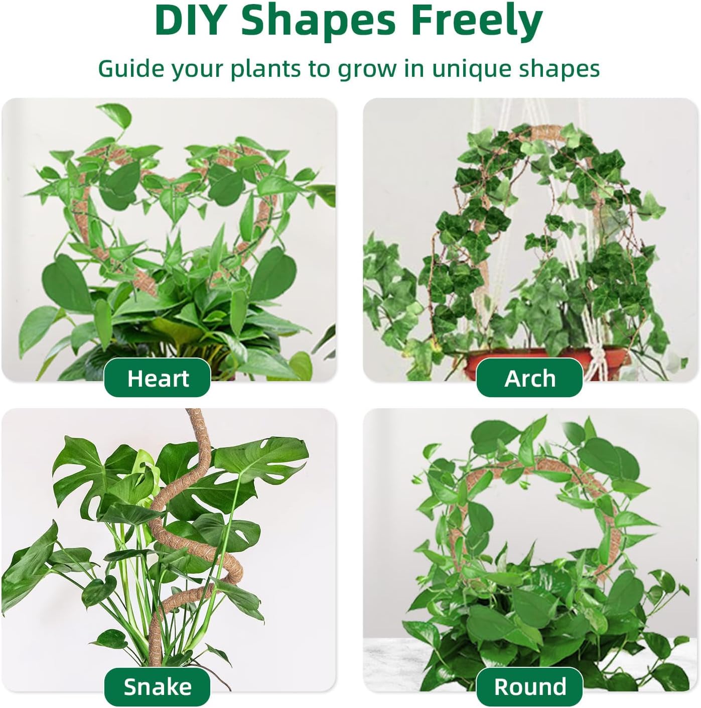 Thumbnail 3 de McBazel Moss Pole 160cm coir support