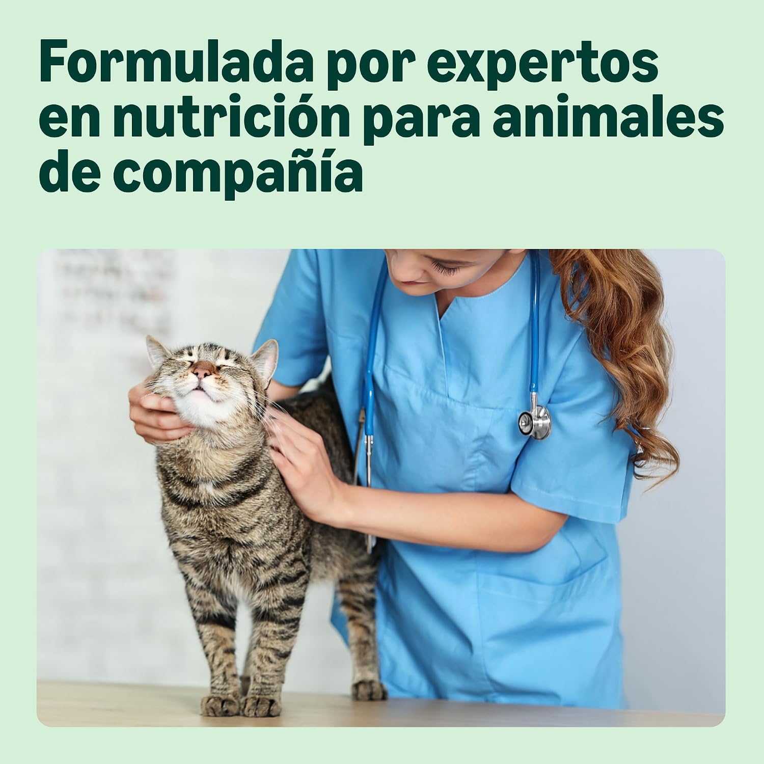 Thumbnail 2 de by Amazon Alimento seco para gatos esterilizados