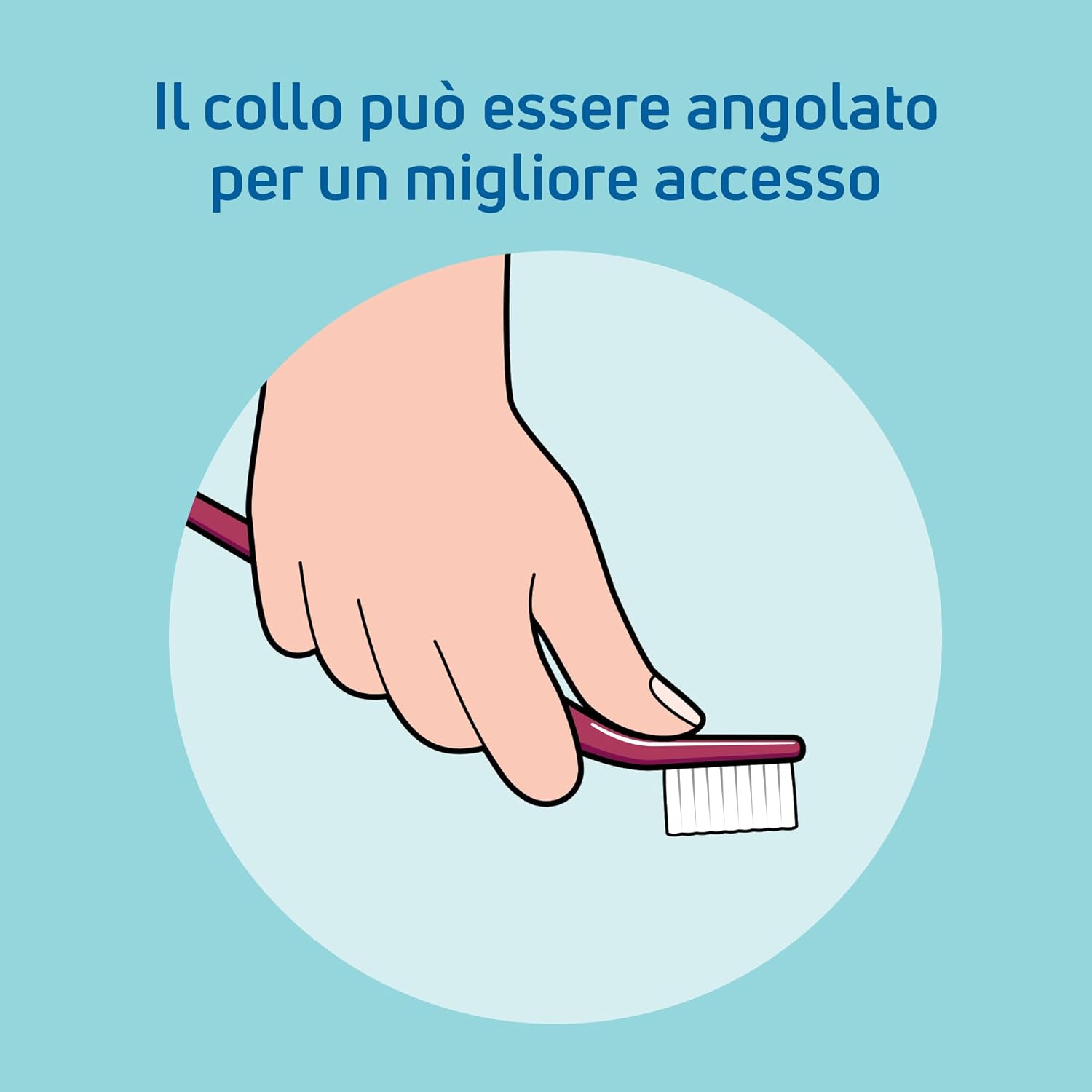 Detalle de TePe Nova Soft: spazzolino con punta allungata per denti posteriori, 3pz