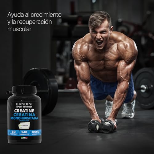 Thumbnail 3 de Bandini® Creatine CREAPURE® Monohidrato 💪 240 Comprimidos