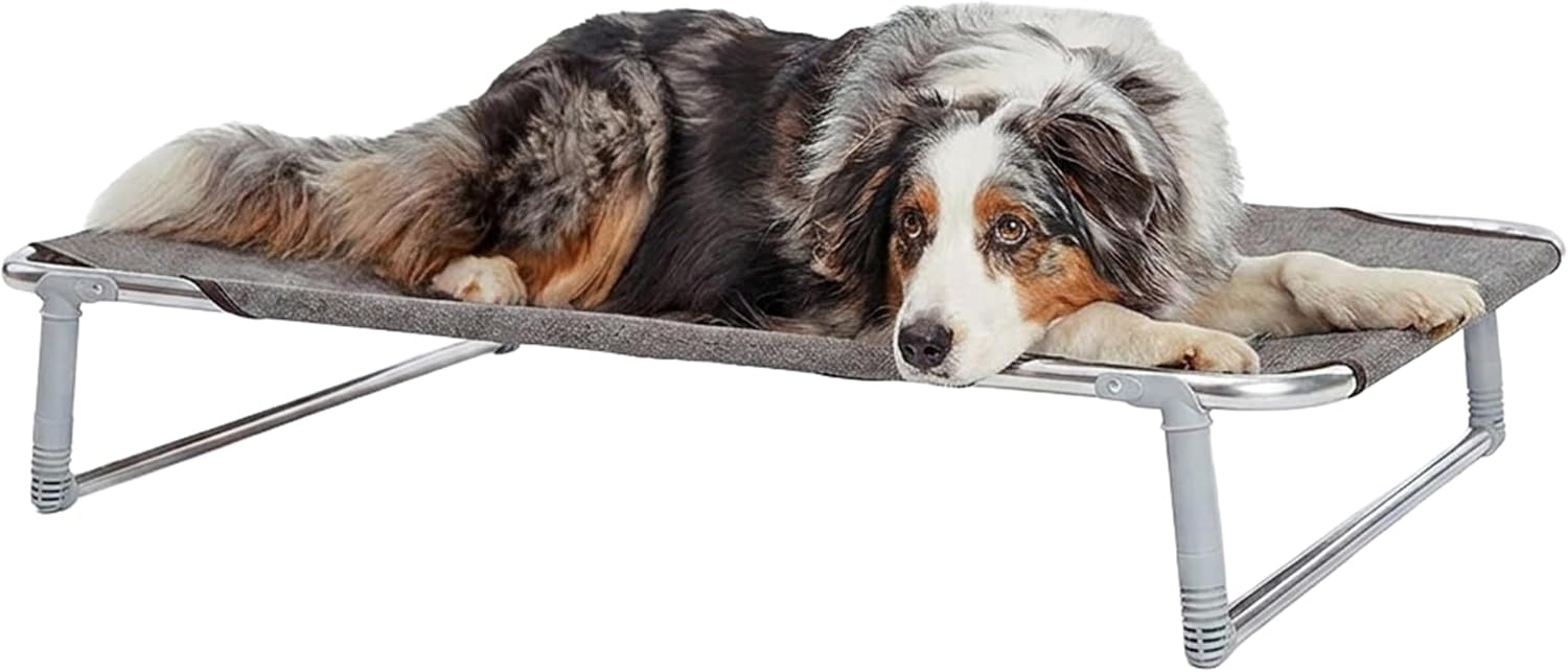 Detalle de Ferplast Lettino per Cane Dream 100: cuccia leggera e resistente per cani di taglia media