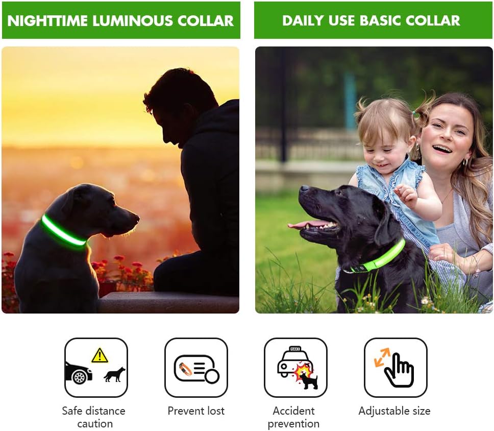Detalle 2 de MASBRILL Light Up Dog Collar (Green) – Rechargeable, Waterproof LED collar with 3 lighting modes