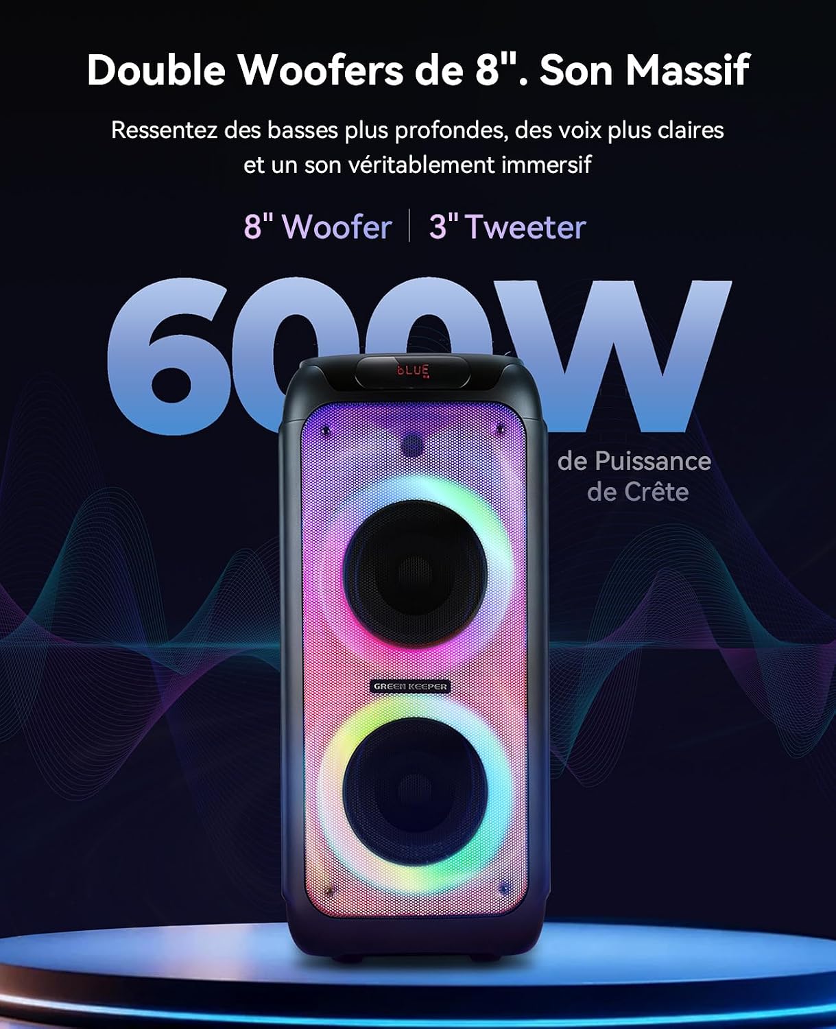 Detalle 2 de GKD80 Machine de karaoké 600W 📢