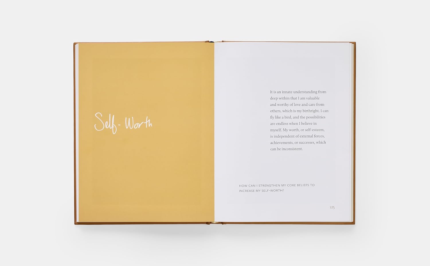 Detalle 2 de Danielle McKinney: Beyond the brushstroke – illustrerad konstbok från Monacelli Press