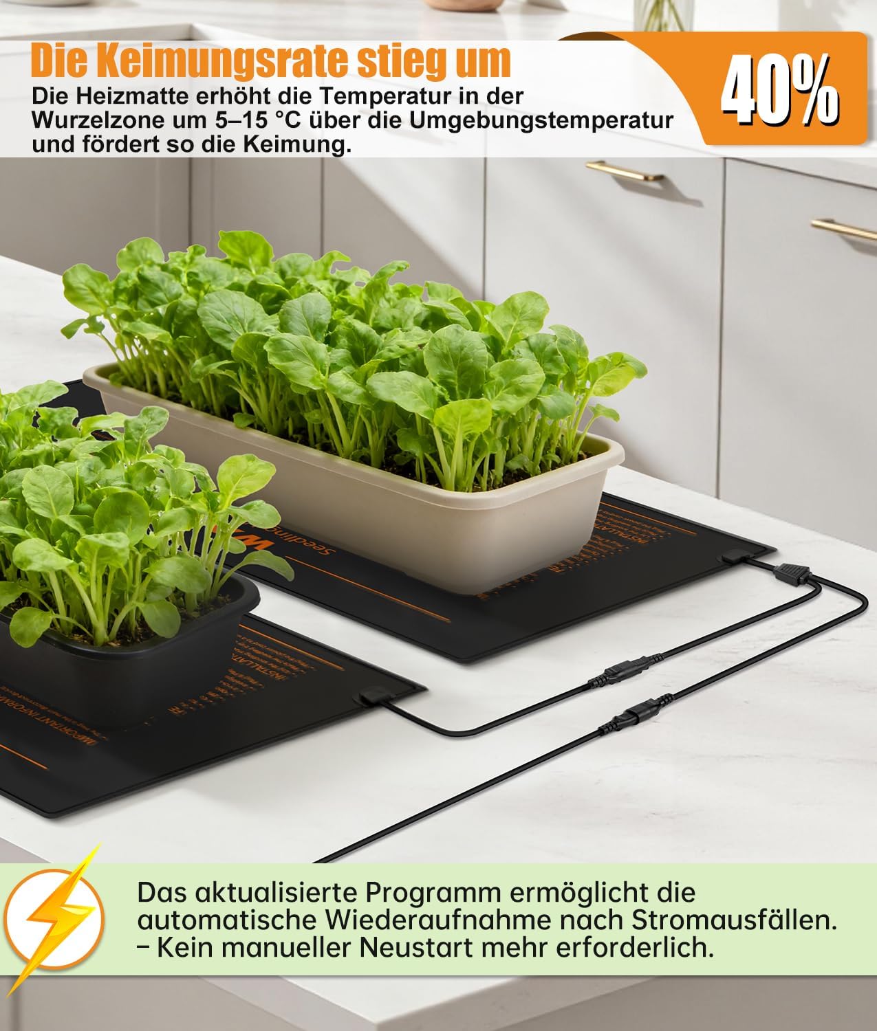 Thumbnail 4 de WADEO Heizmatte 50W für Anzucht und Gewächshaus 🌱