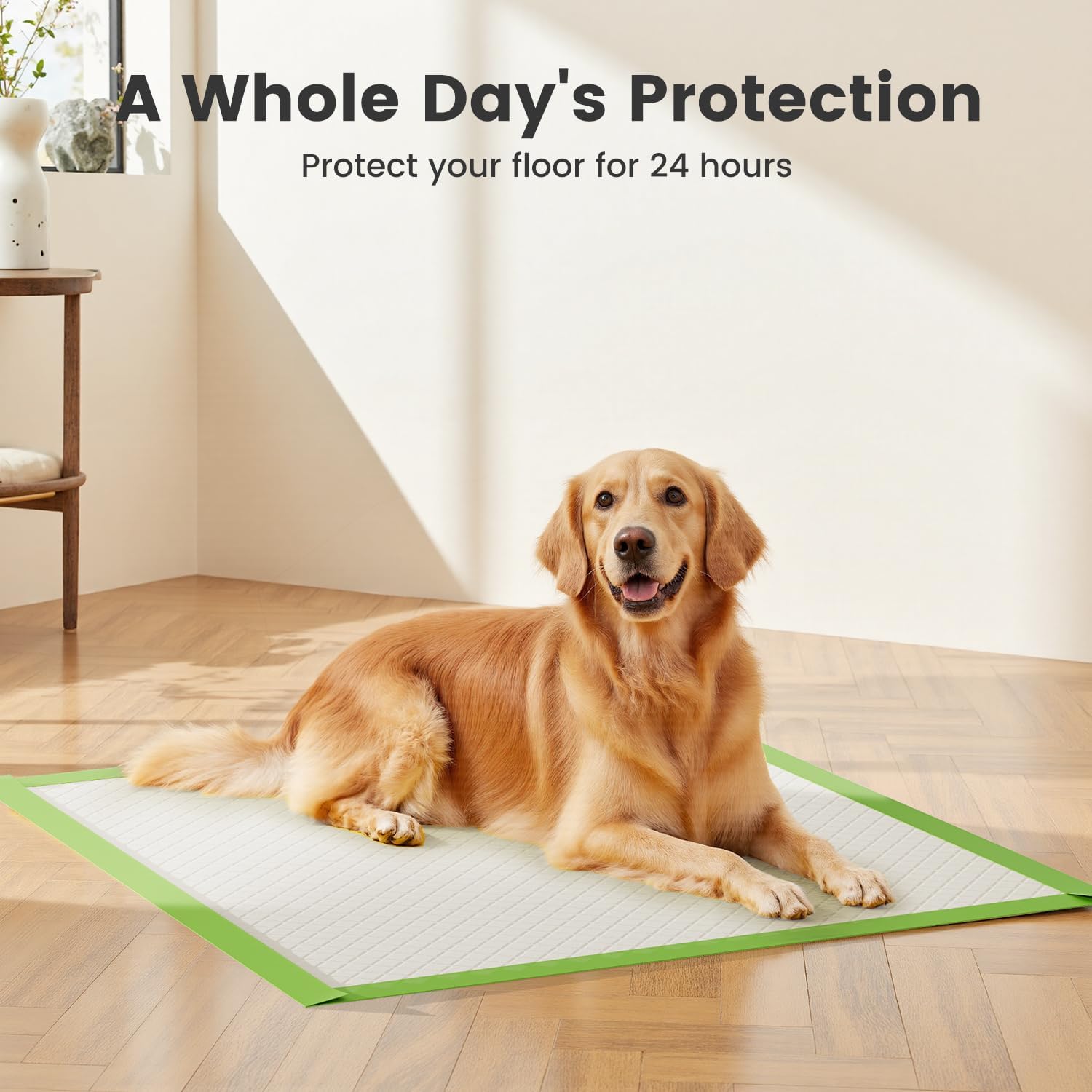 Detalle 1 de Gardner Pet Extra Large Puppy Pads 70x85cm