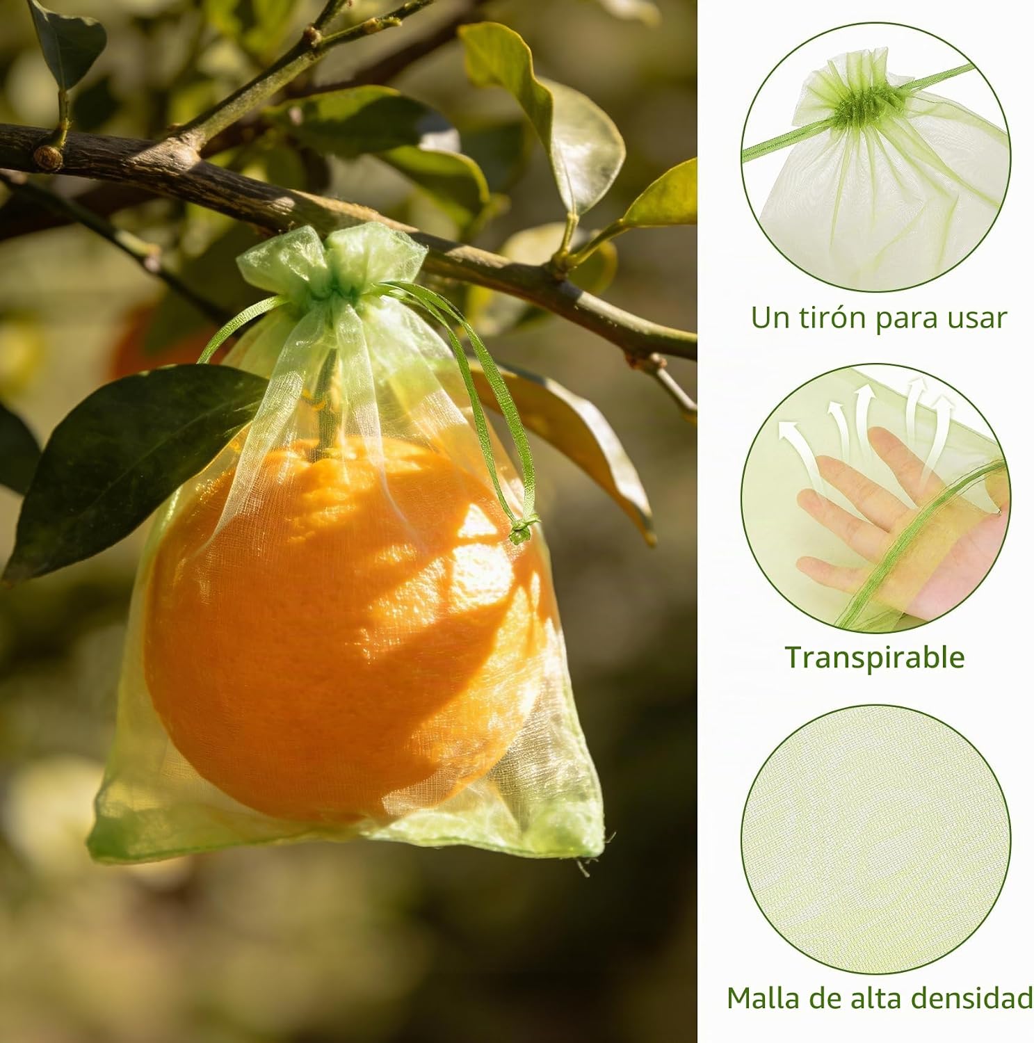 Detalle de 60 Piezas de Bolsas para Uvas en Parra con Cordón de Vegamall (Organza 20x30 cm) + 5 Placas Adhesivas Antiinsectos