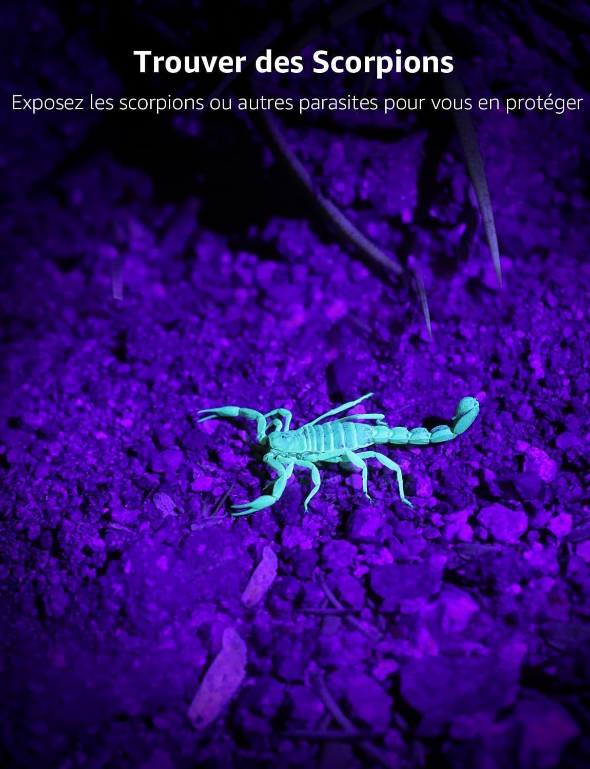 Thumbnail 2 de Lepro Lampe torche UV 395 nm pour détections 🔦