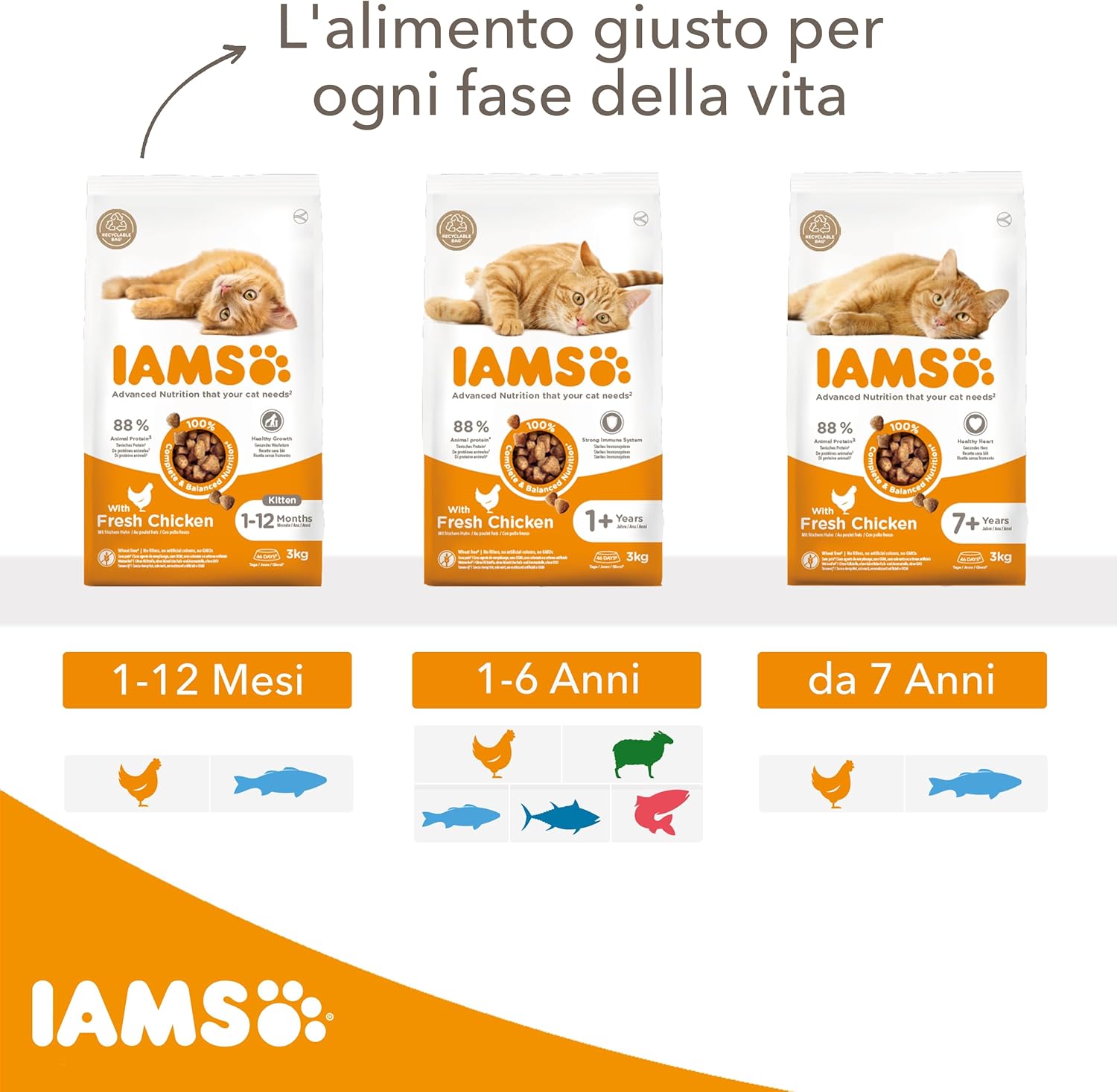 Thumbnail 3 de IAMS cibo secco per gatti con pollo 3 kg – per gatti 1–6 anni