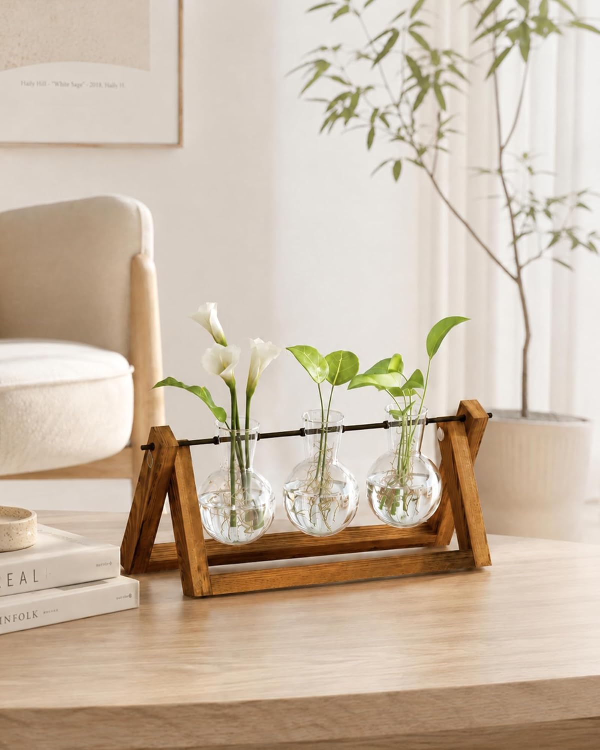 Detalle de Bamworld Stazione di Propagazione delle Piante Idroponiche con Supporto in Legno: 3 Vasi in Vetrografia per piante acquatiche e decorazione