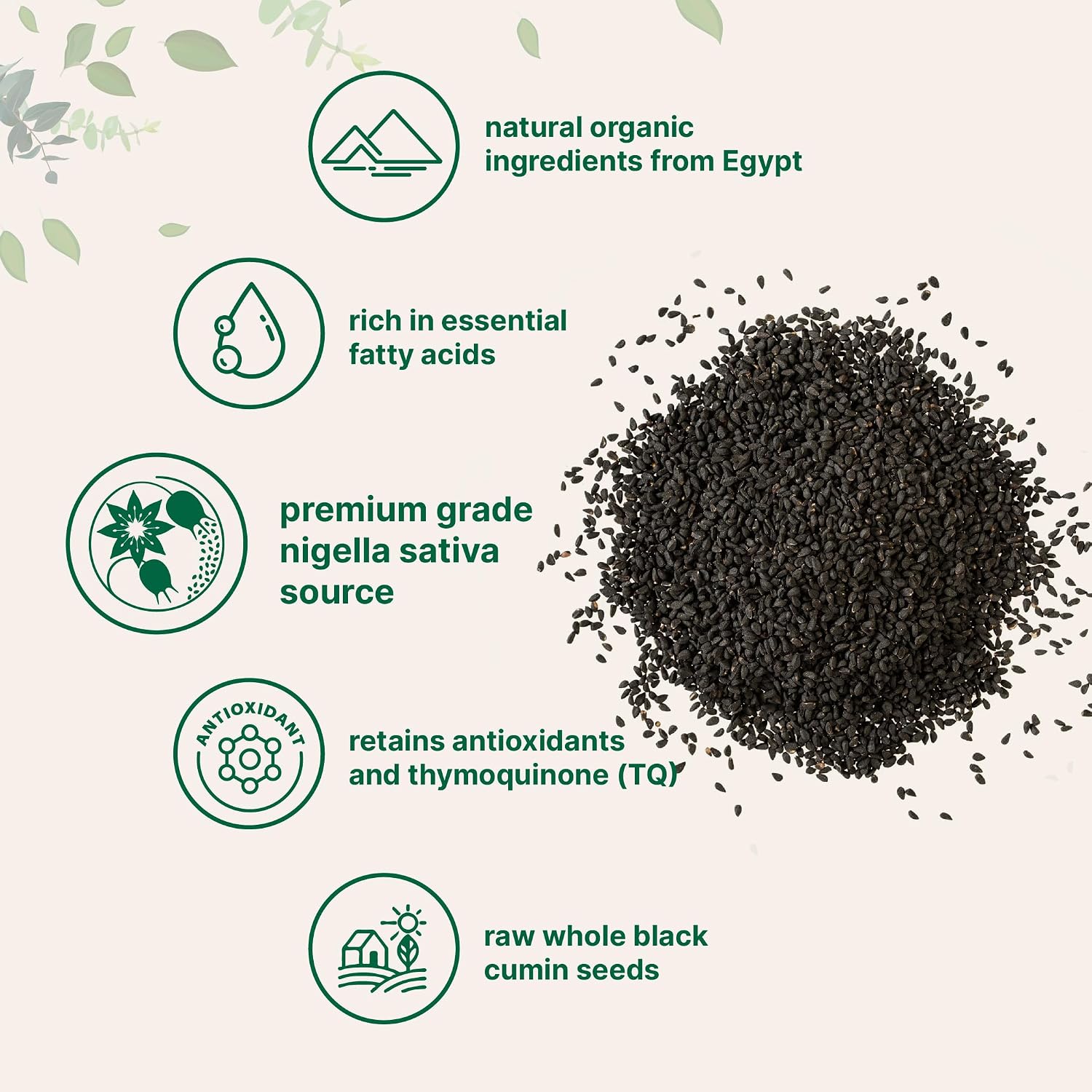 Thumbnail 3 de Micro Ingredients Organic Black Cumin Seeds, 2 lb Whole Nigella Sativa