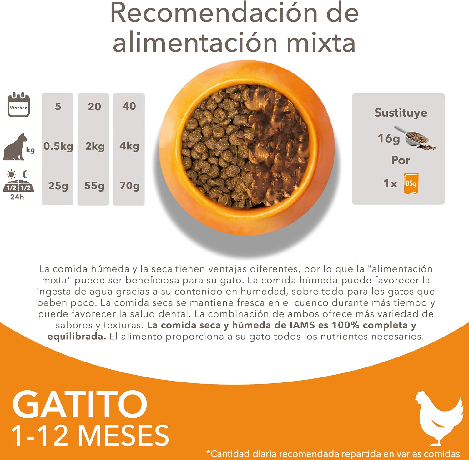 Detalle 2 de IAMS Alimento seco para gatitos 3 kg 🐱