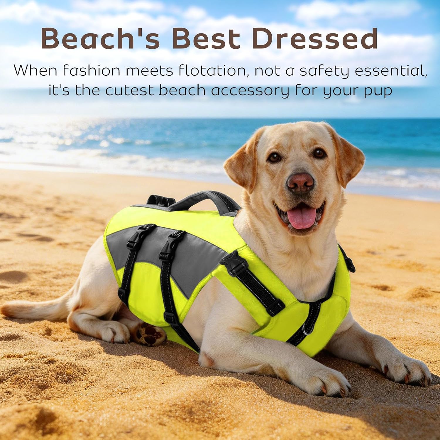Detalle 2 de CITÉTOILE Dog Life Jacket with Handle & Reflective Strips (Green, Size L) – Buoyancy Aid Vest for Water Activities