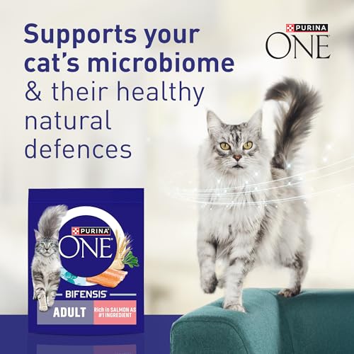 Detalle 2 de Purina One Salmon Dry Cat Food 800g (Pack of 4) – Adult Cat Nutrition