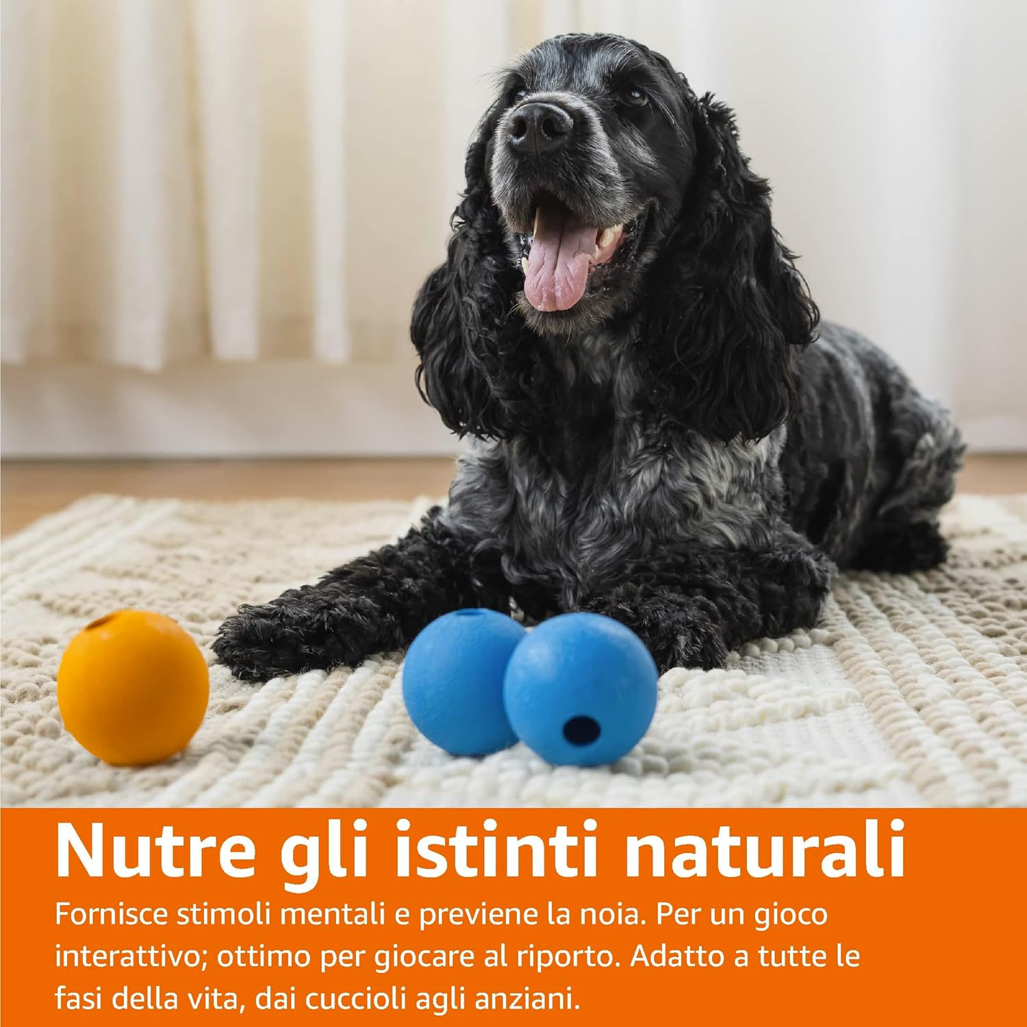 Detalle 2 de Palline Giocattolo Supreme in Gomma per Cani (6.35 cm) – Confezione da 3, Blu e Arancione