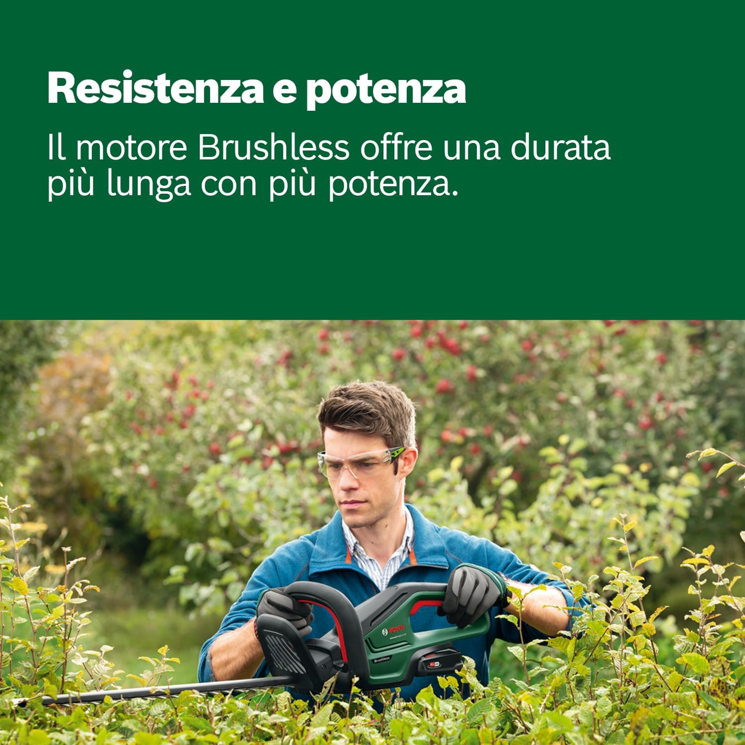 Thumbnail 3 de Bosch UniversalHedgeCut 18V-50: tagliasiepi a batteria leggera per siepi di medie dimensioni