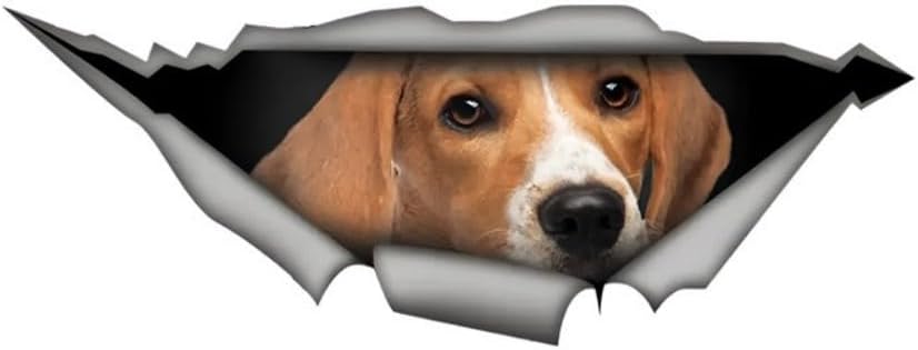 TIZIKJ Beagle Hund Aufkleber 15 cm