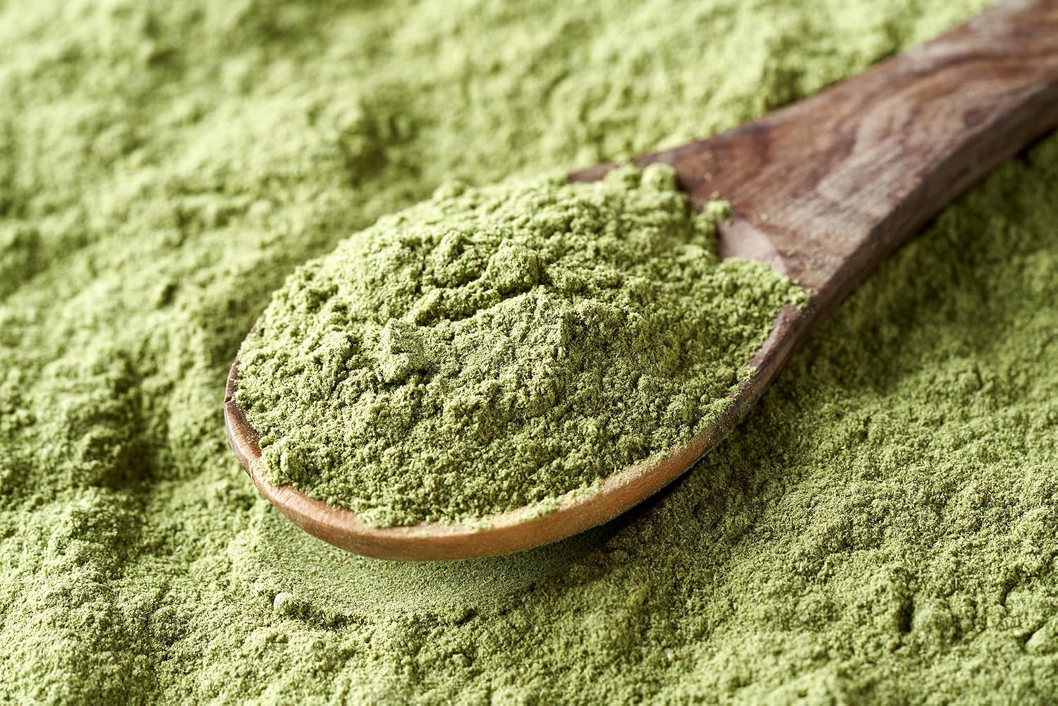 Thumbnail 5 de LOYD Matcha Tee 40g Ceremonial Premium