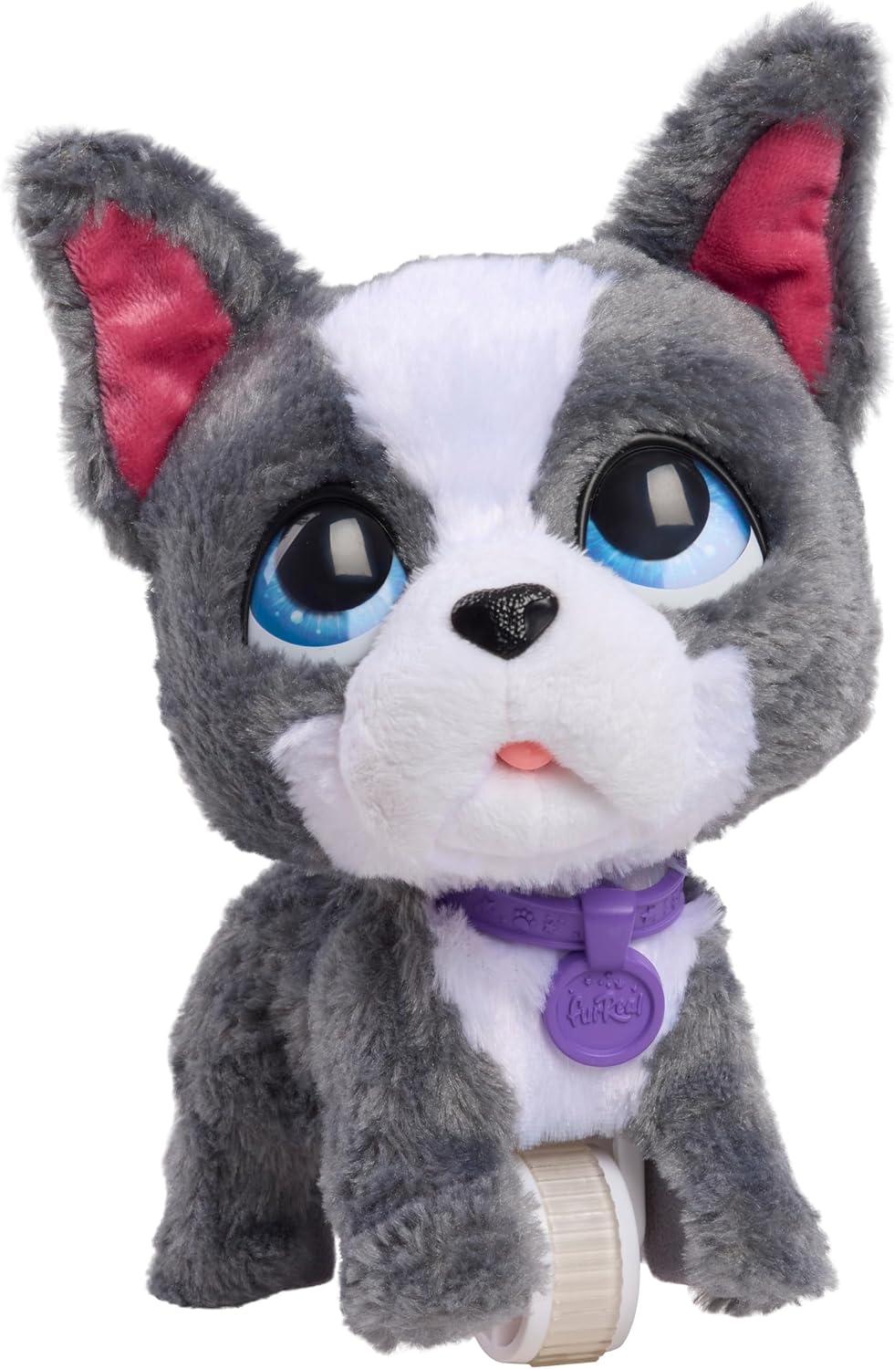 Thumbnail 3 de Just Play furReal Walk-A-Lots French Bulldog interactive toy (10 cm) with detachable leash
