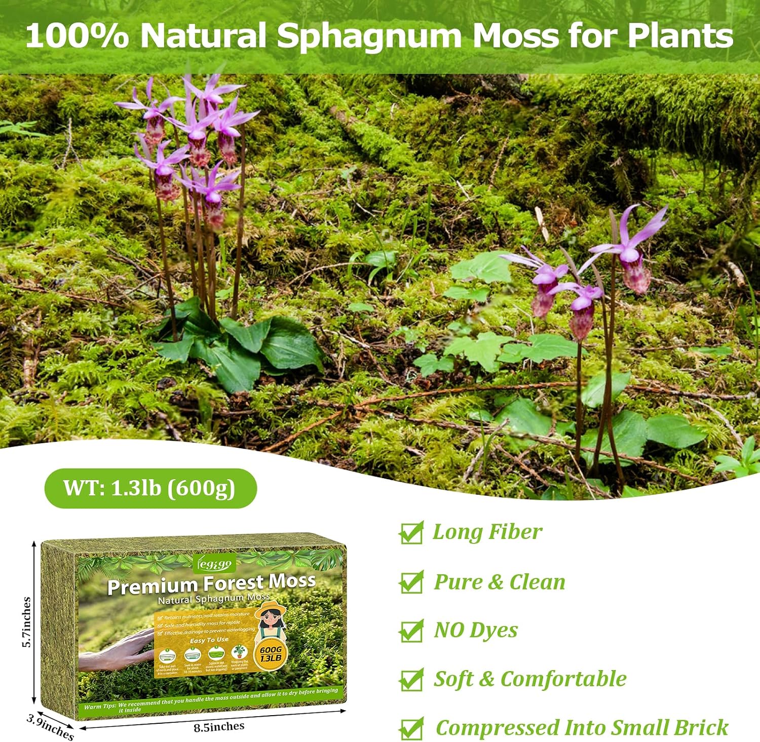 Detalle de Legigo L-DE-Forest Moss-600g Sphagnum Moss, 1.3 lb Natural Long Fiber