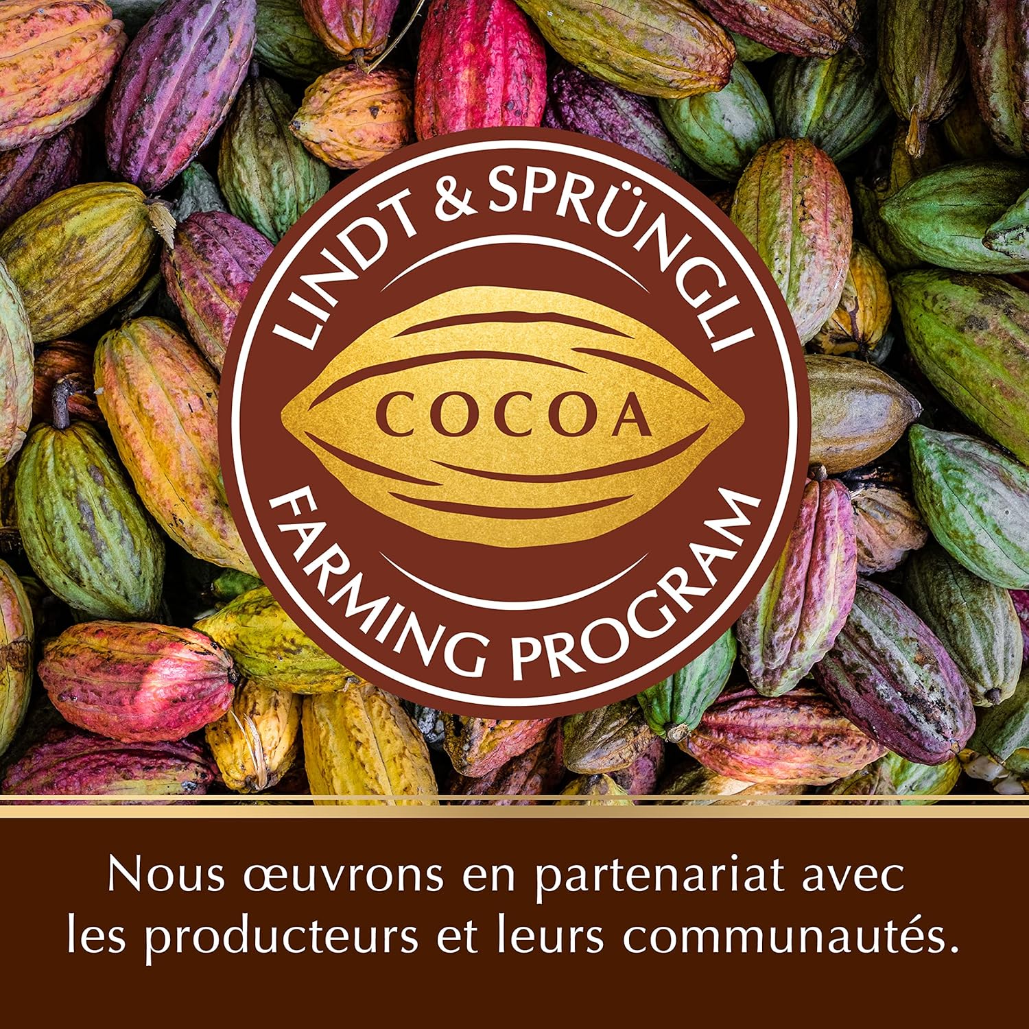 Thumbnail 6 de Lindt Pistoles PATISSERIE, chocolat au lait, 500 g