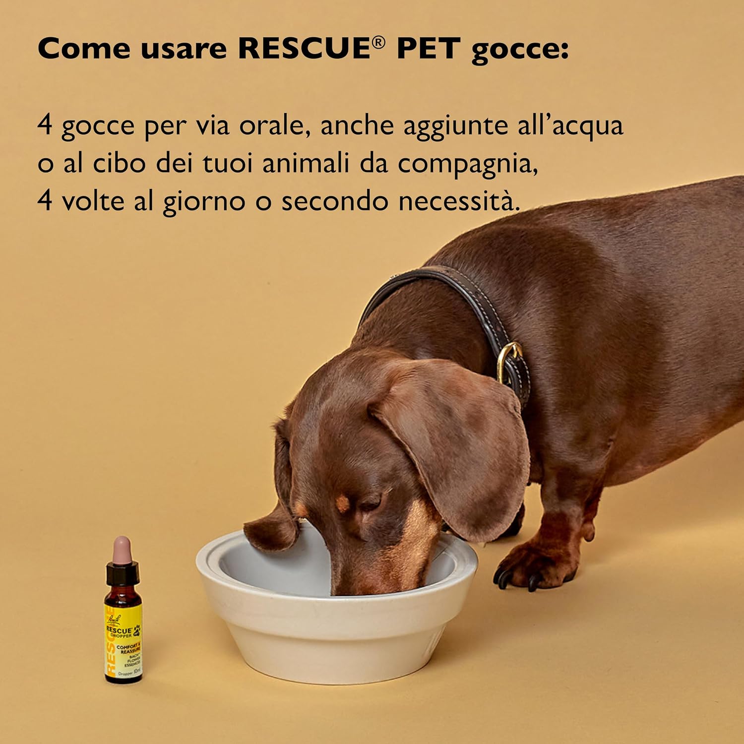 Detalle de RESCUE PET GOCCE 10ML – Benessere mentale per animali da compagnia