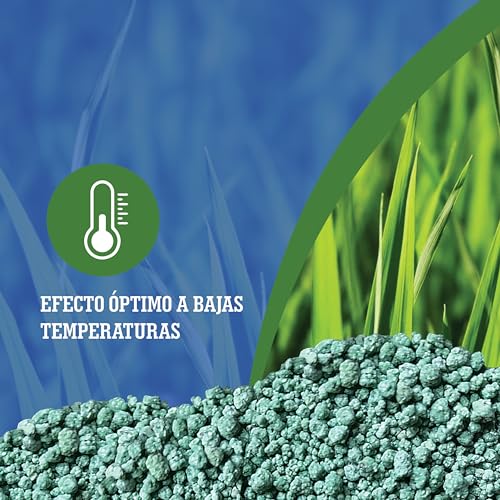 Detalle de LERAVA abono césped primavera (70 m²) – fertilizante de liberación lenta con protección fúngica