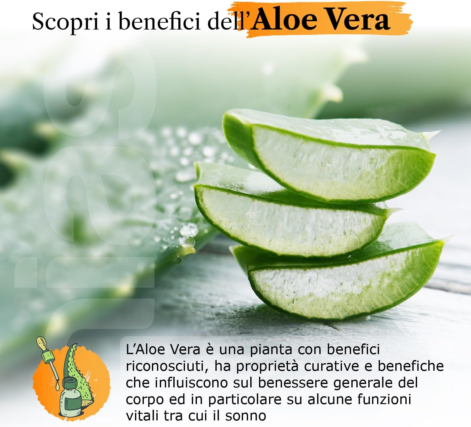 Thumbnail 4 de MiaSuite Topper correttore in memoryfoam sfoderabile con Aloe Vera per materasso matrimoniale 170x190 (10 cm)