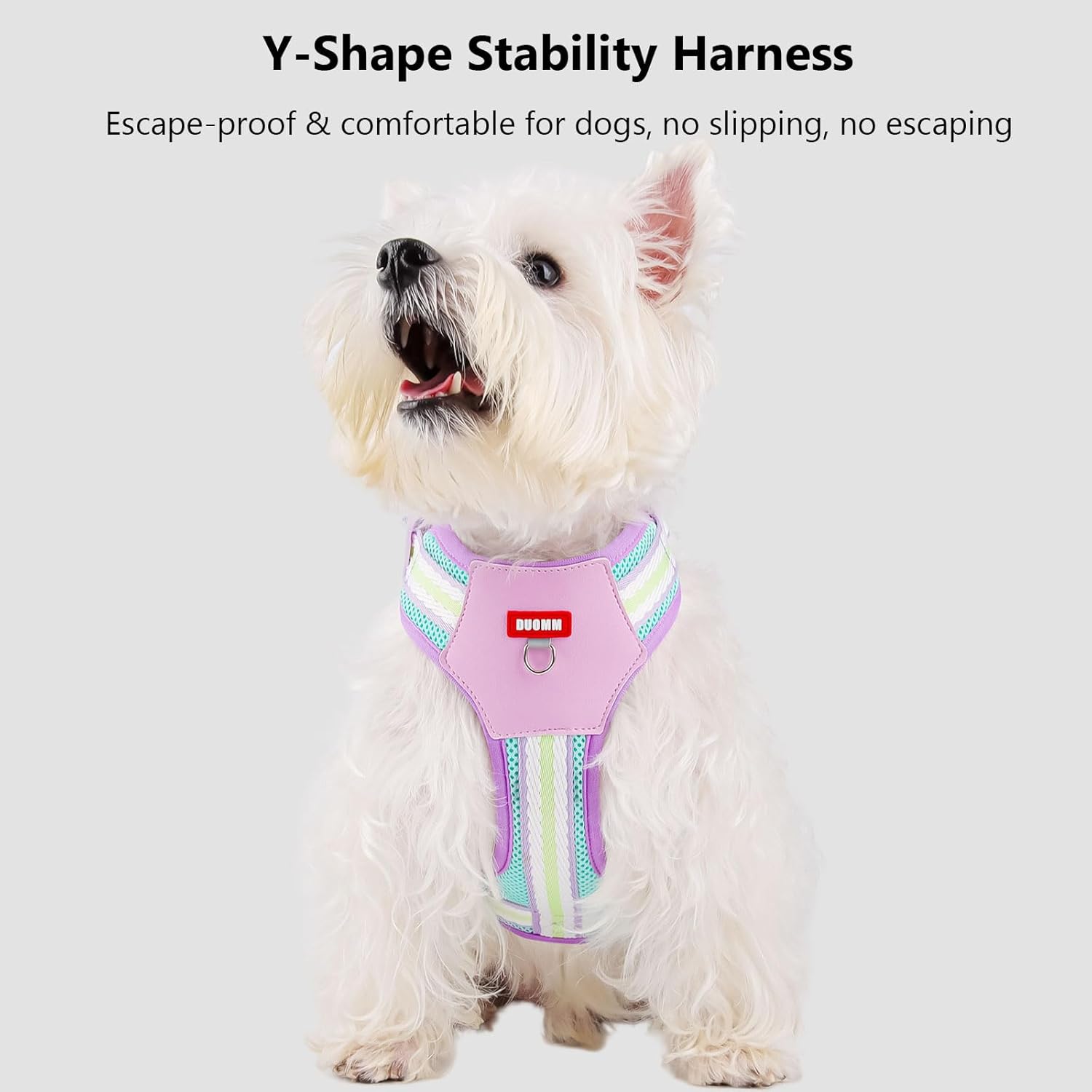 Thumbnail 2 de Anlitent No Pull Dog Harness 2–14kg